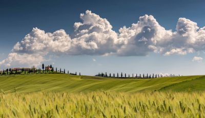 A landscape shot of val d'orcia tuscany italy with a cloudy sunny blue sky in the background